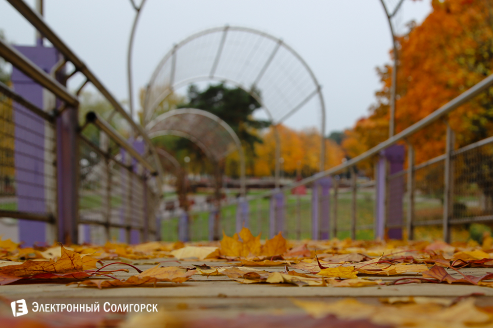 осень в солигорске