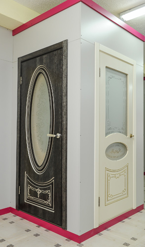 двери купить солигорск