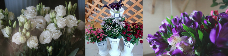 купить цветы солигорск ночью