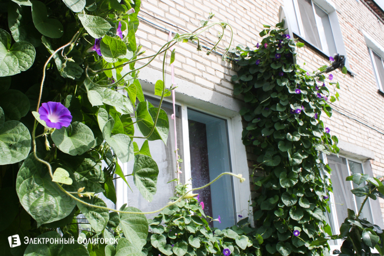 улица Строителей Солигорск