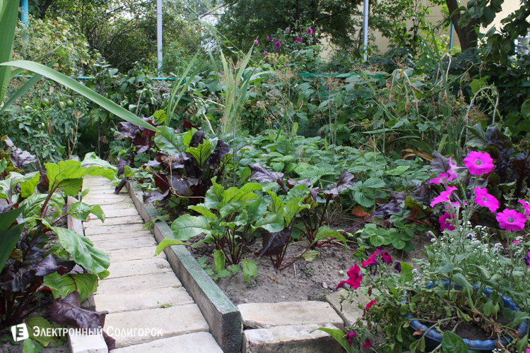 улица Строителей Солигорск