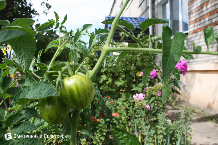 улица Строителей Солигорск