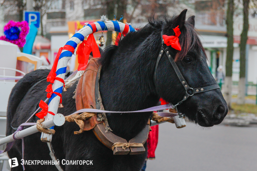 Парад Дедов Морозов Солигорск