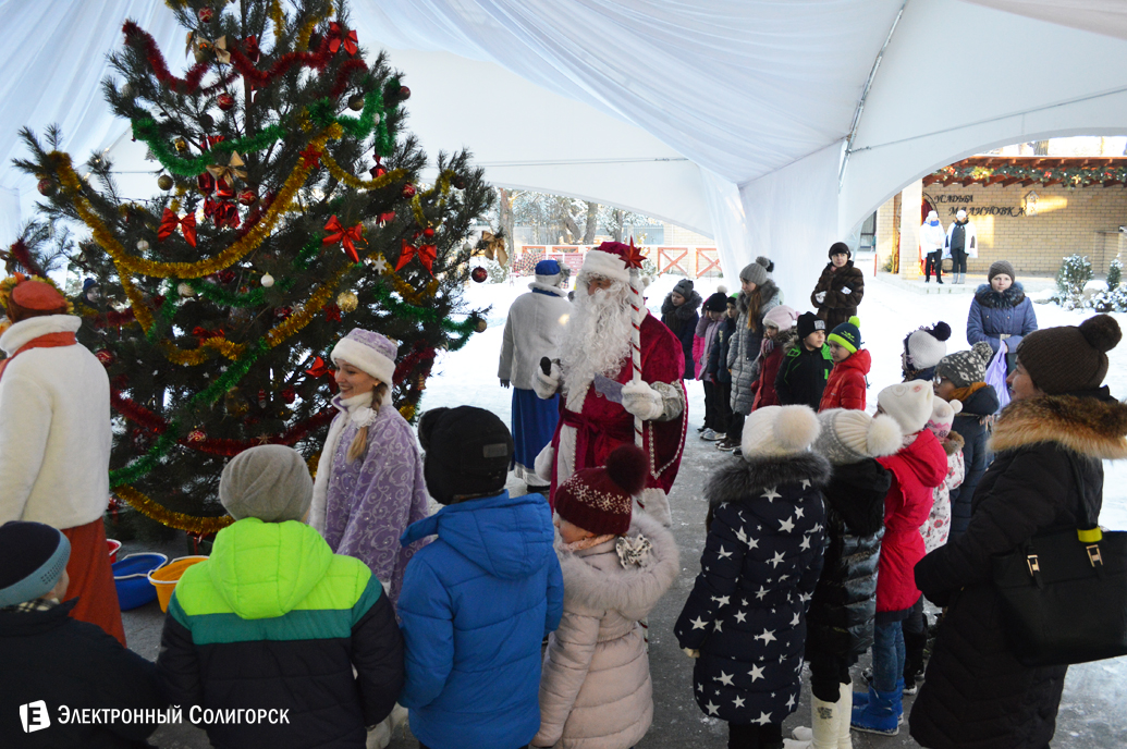агроусадьба Малиновка Новый год