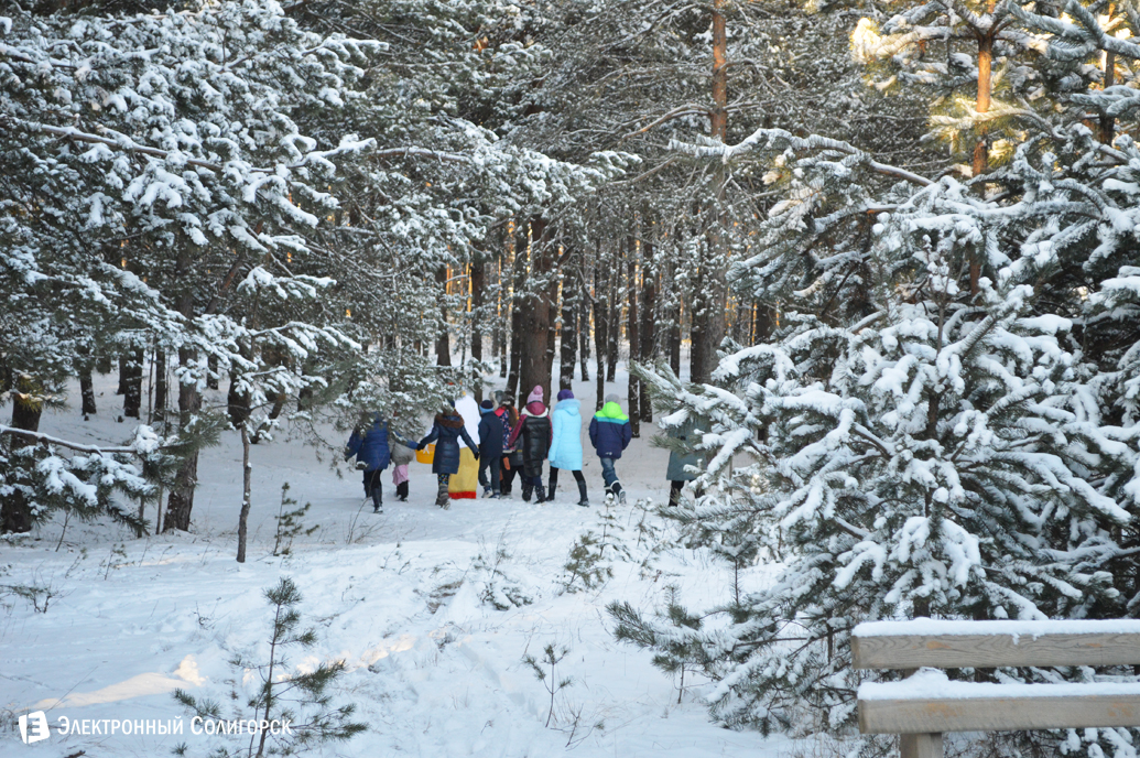 агроусадьба Малиновка Новый год