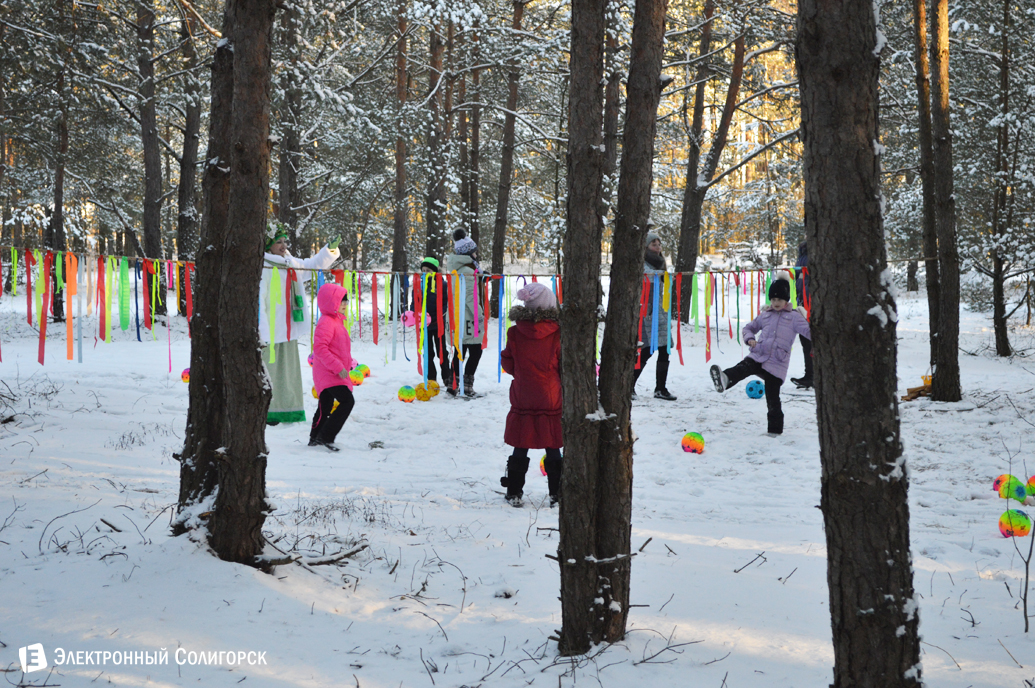 агроусадьба Малиновка Новый год
