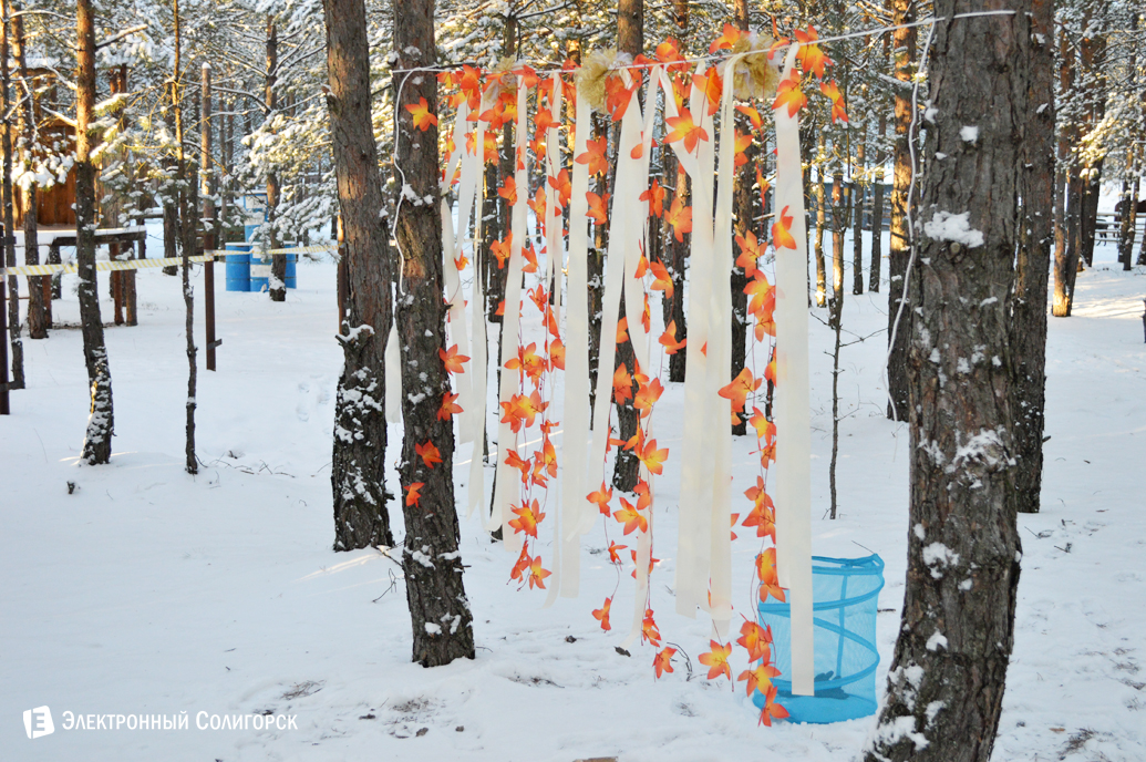 агроусадьба Малиновка Новый год