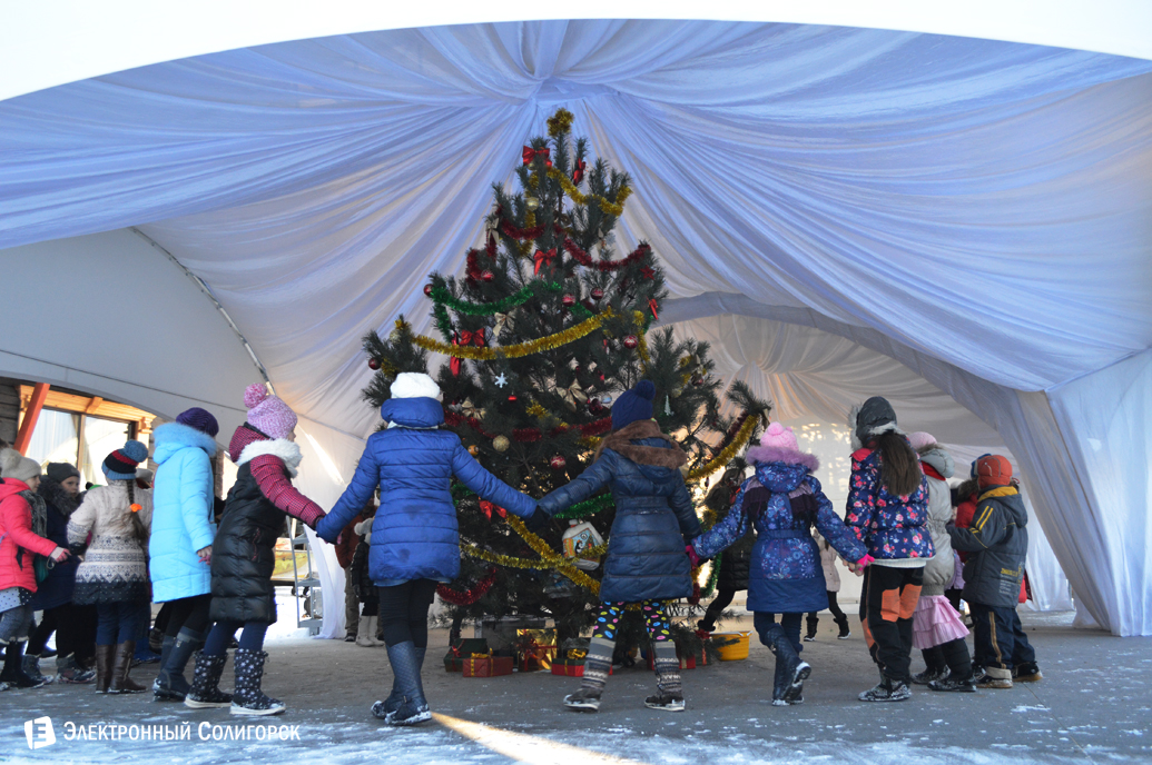 агроусадьба Малиновка Новый год