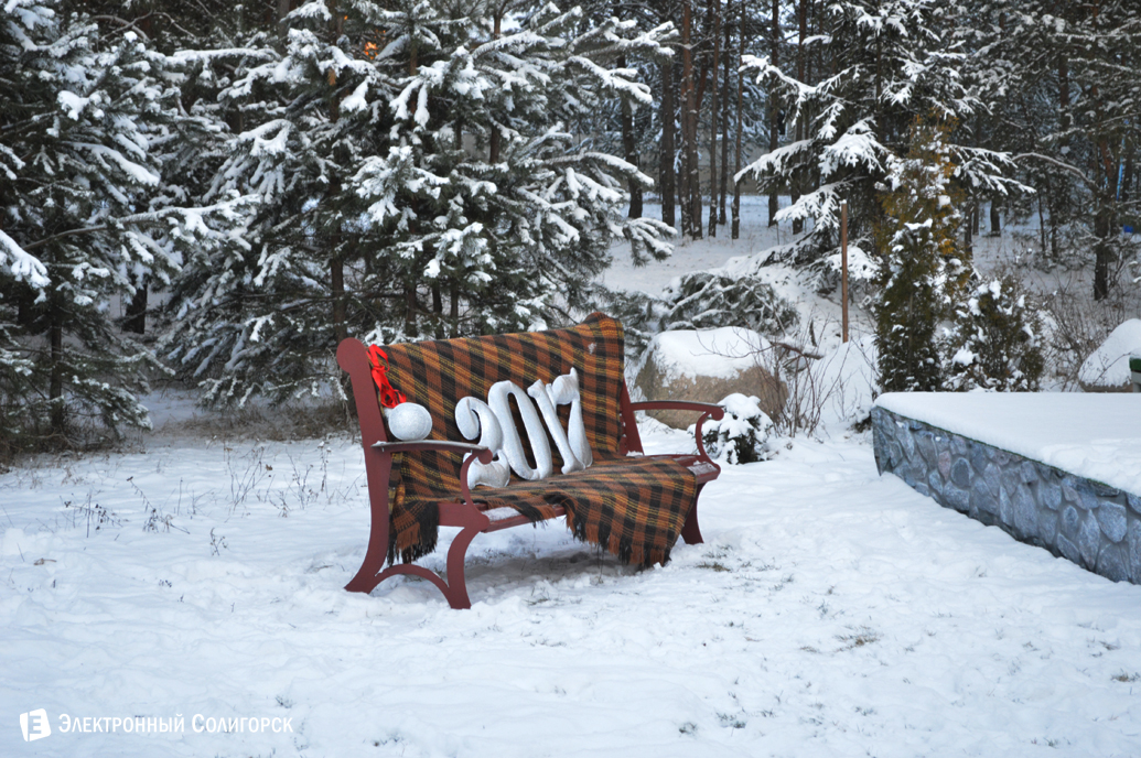 агроусадьба Малиновка Новый год
