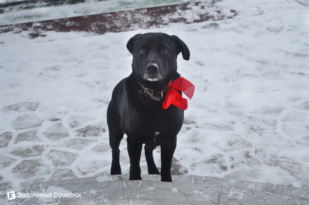 агроусадьба Малиновка Новый год