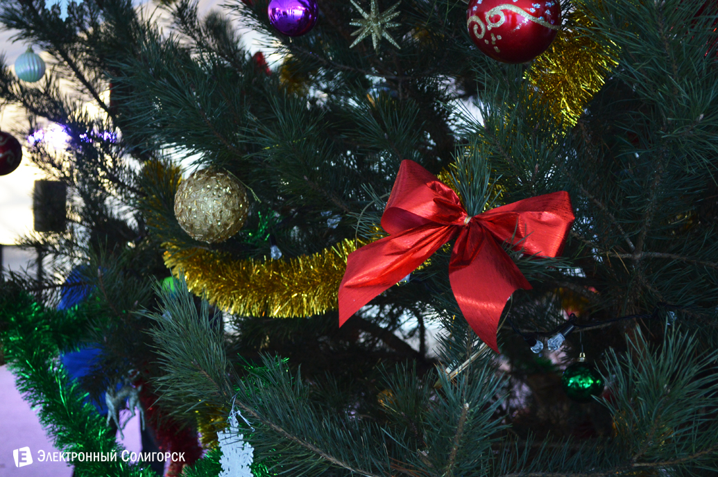 агроусадьба Малиновка Новый год