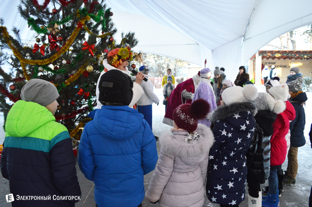 агроусадьба Малиновка Новый год