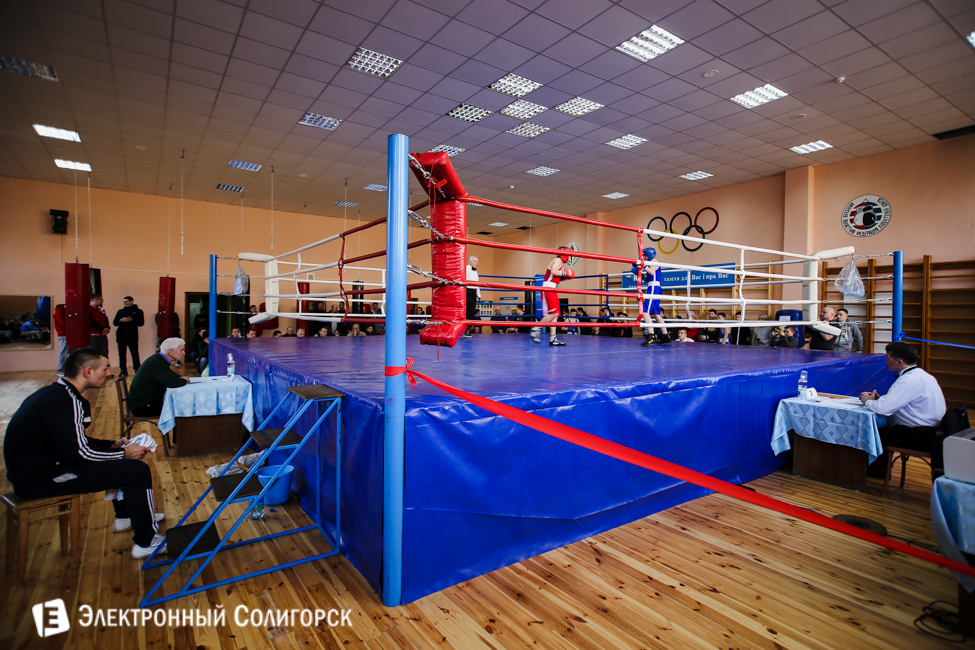 боксеры Солигорск