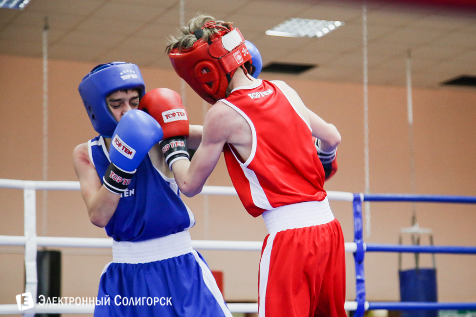 боксеры Солигорск