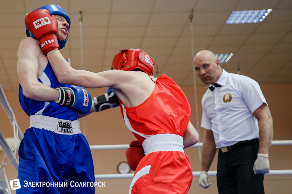 боксеры Солигорск