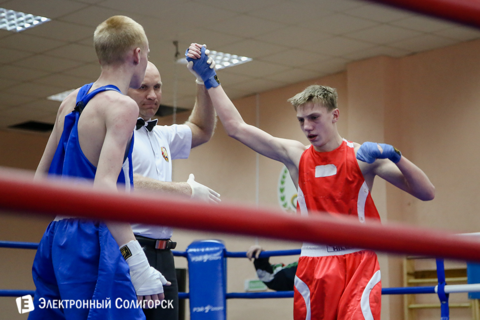 боксеры Солигорск