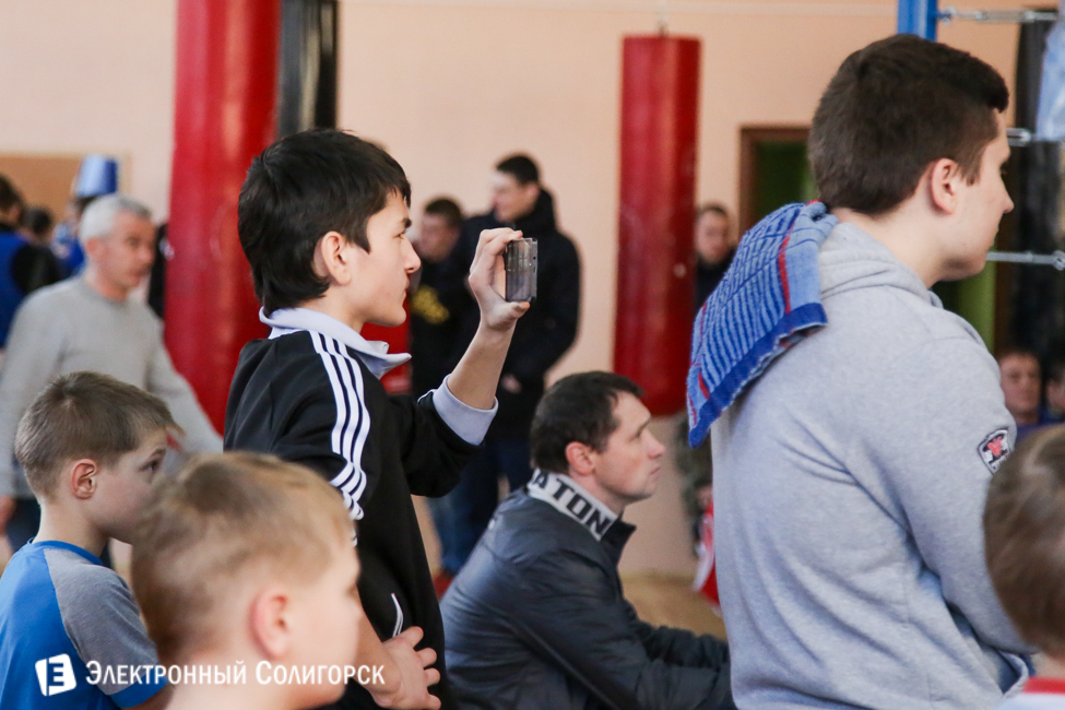 боксеры Солигорск