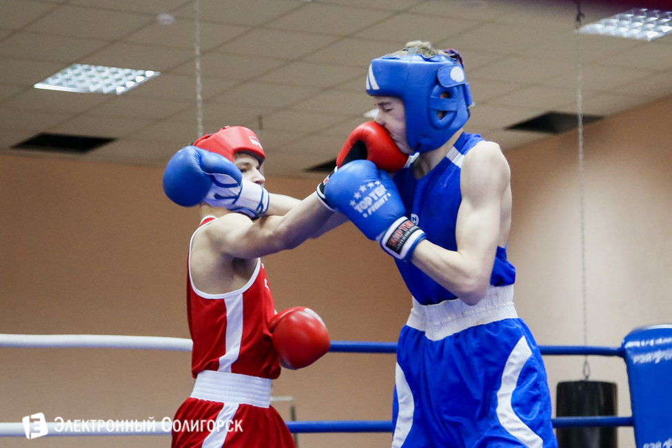 боксеры Солигорск