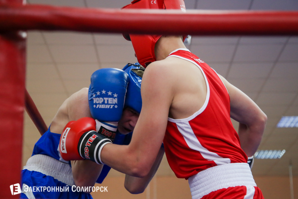 боксеры Солигорск