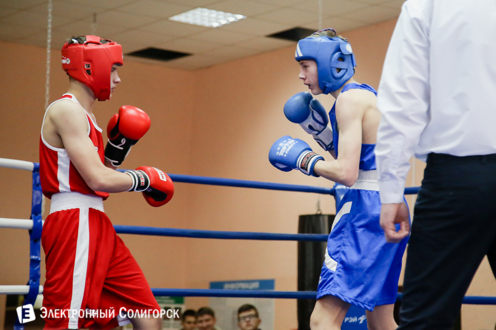 боксеры Солигорск
