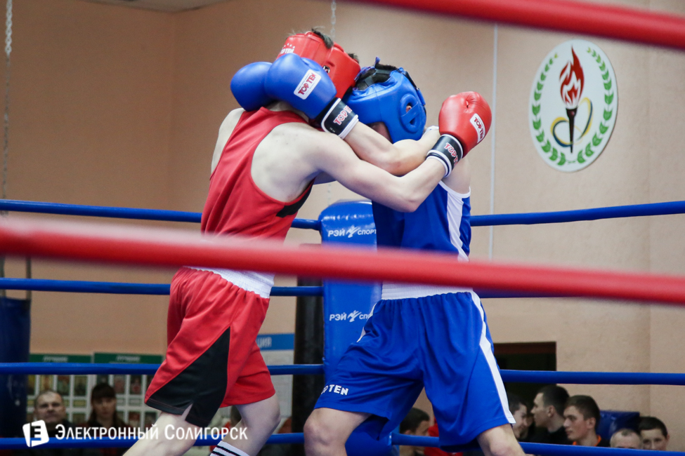 боксеры Солигорск