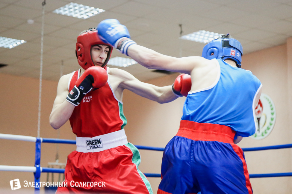 боксеры Солигорск