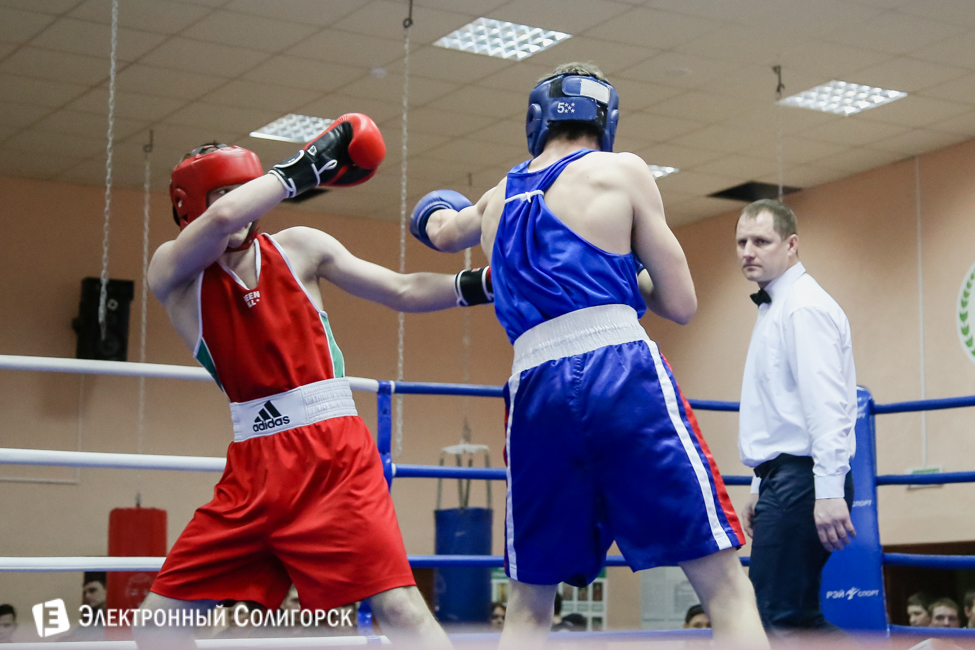 боксеры Солигорск