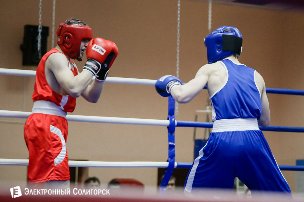 боксеры Солигорск