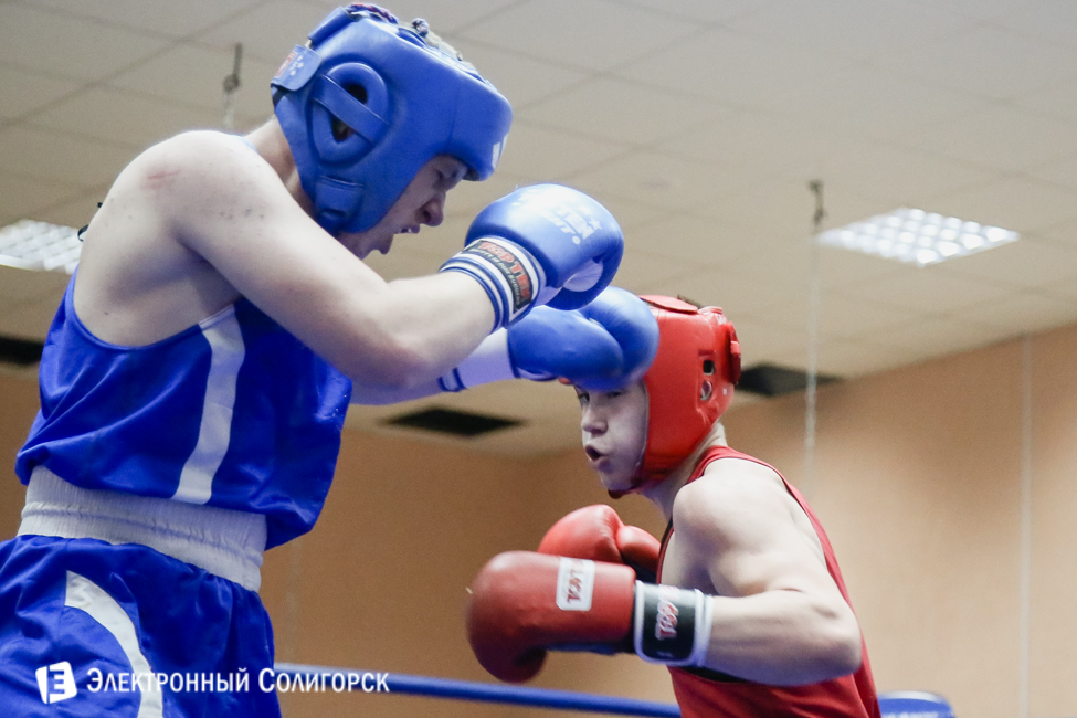 боксеры Солигорск
