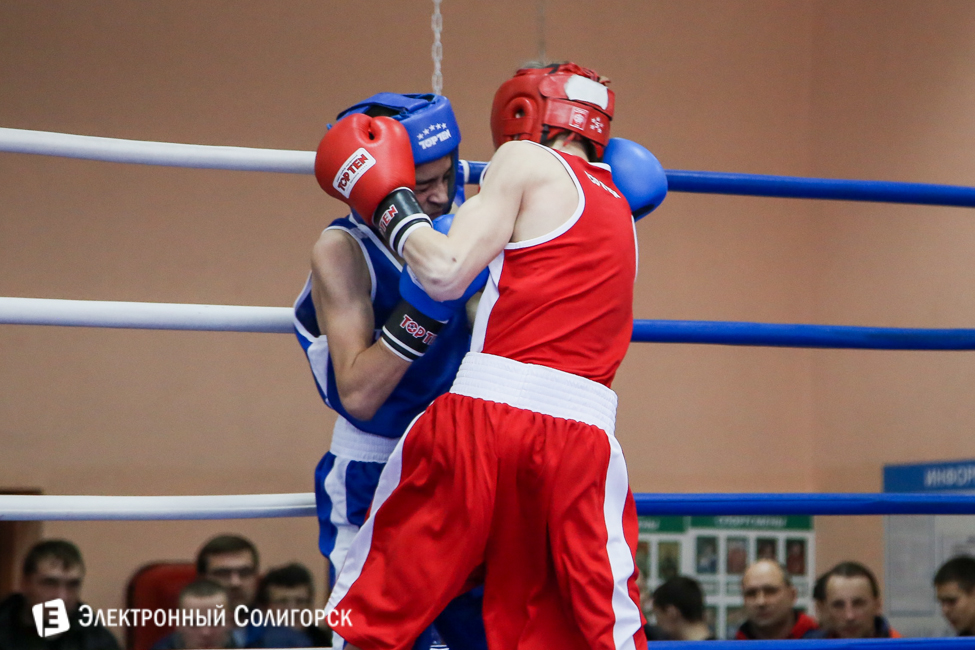 боксеры Солигорск