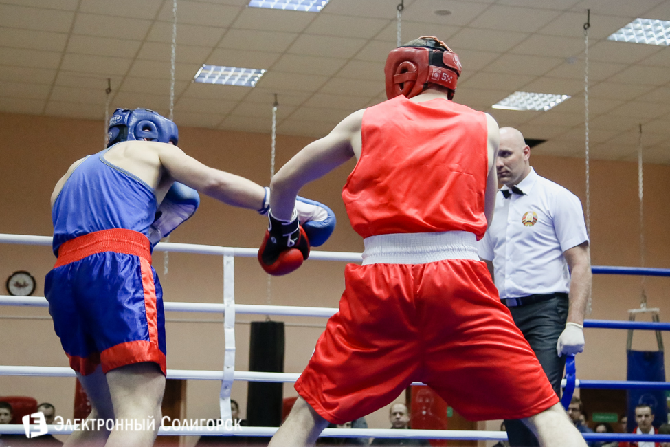 боксеры Солигорск