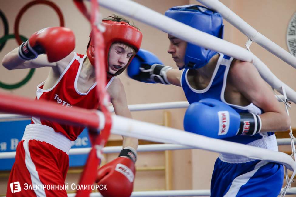 боксеры Солигорск
