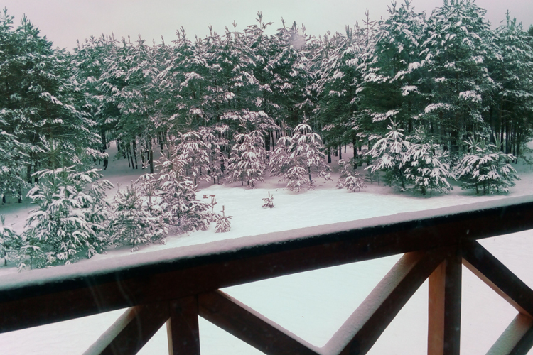 агроусадьба малиновка солигорск 