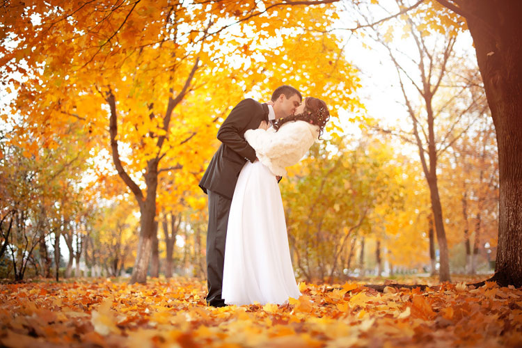 свадебный органзитор солигорск