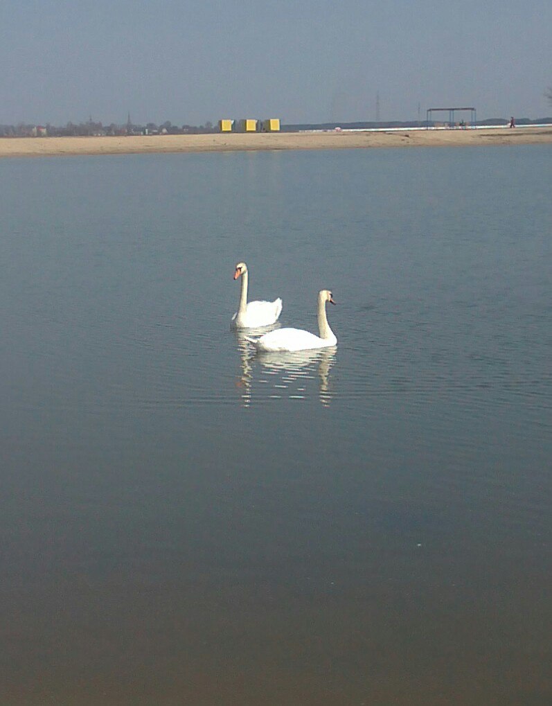фото Солигорск