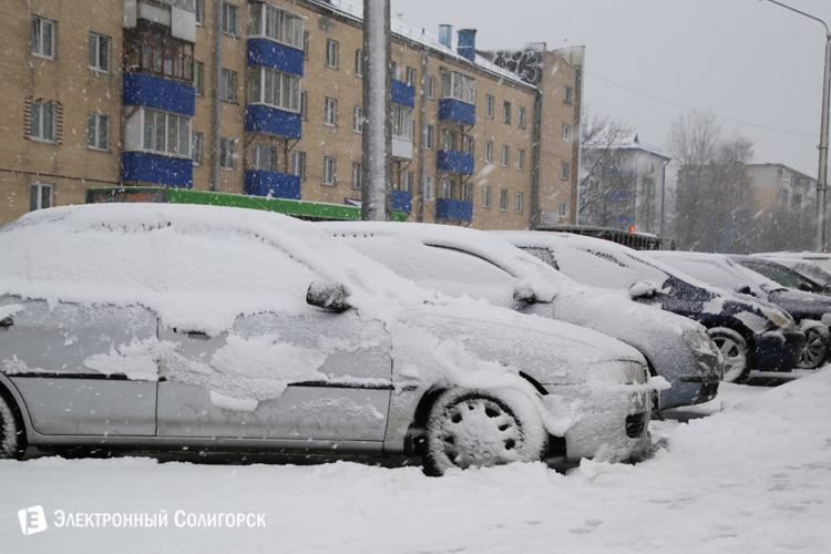 снегопад Зисси в Солигорске