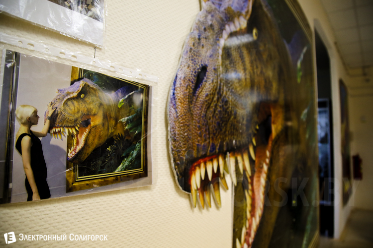 выставка в музее Солигорск