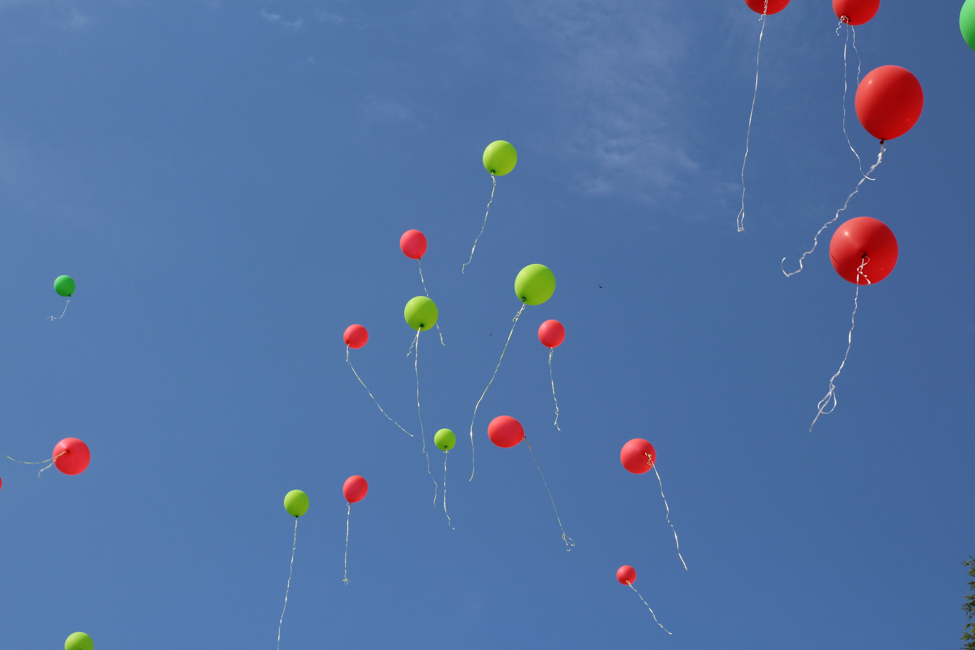 последний звонок 2016 солигорск 3 школа