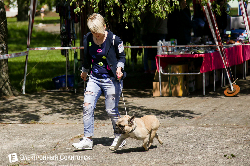 выставка собак в Солигорске