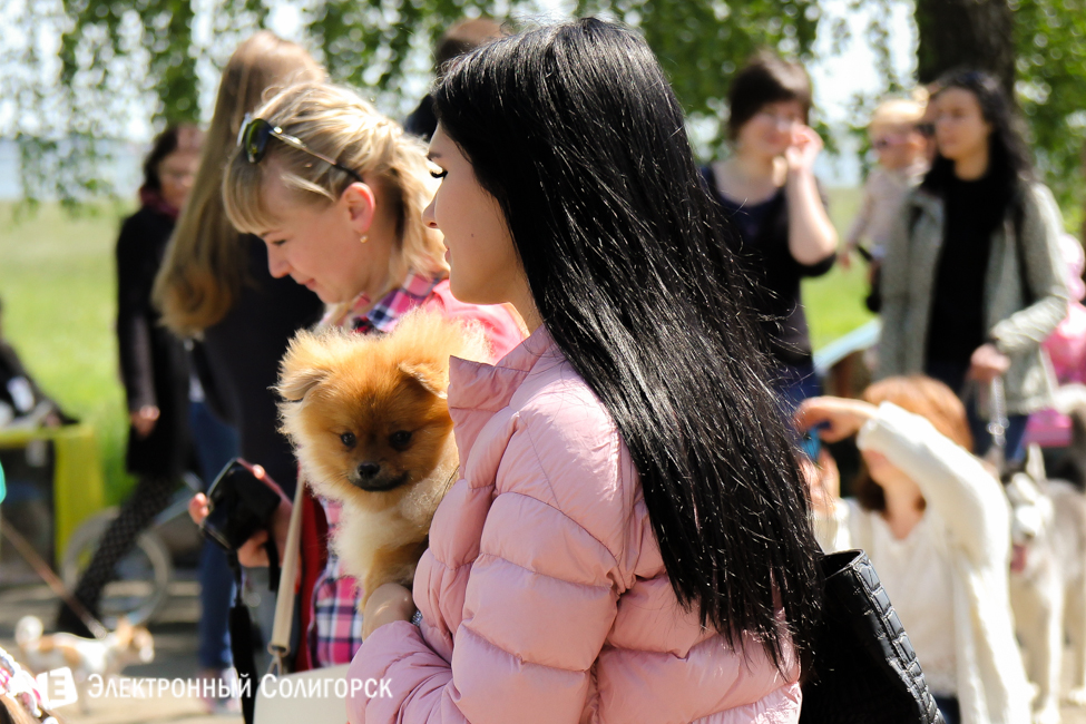 выставка собак в Солигорске