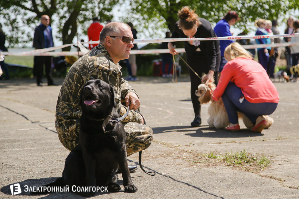 выставка собак в Солигорске