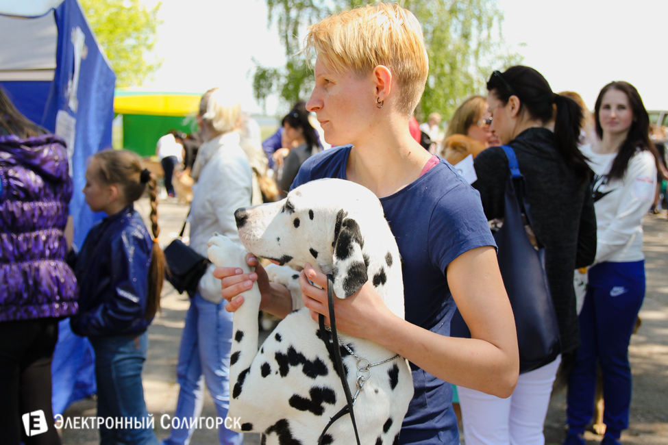 выставка собак в Солигорске