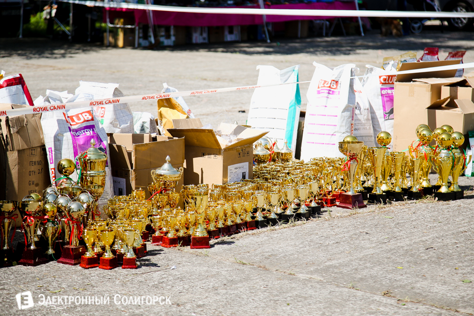 выставка собак в Солигорске