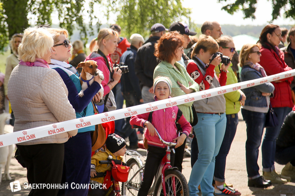 выставка собак в Солигорске