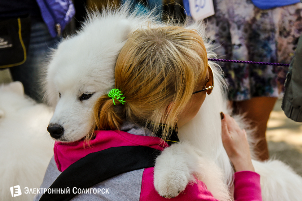 выставка собак в Солигорске