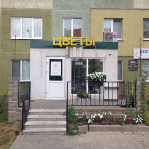 золотое дерево, солигорск