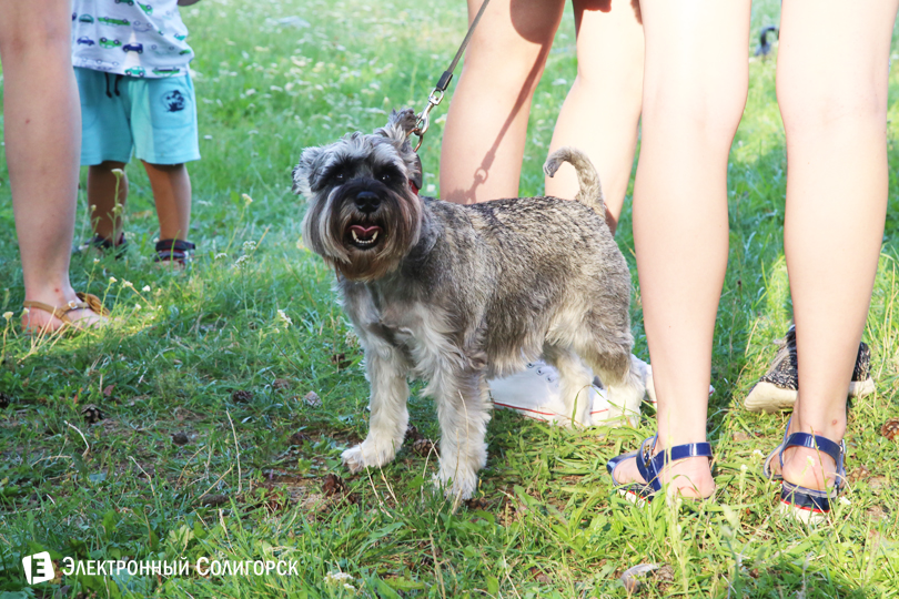 кроссфит в солигорске