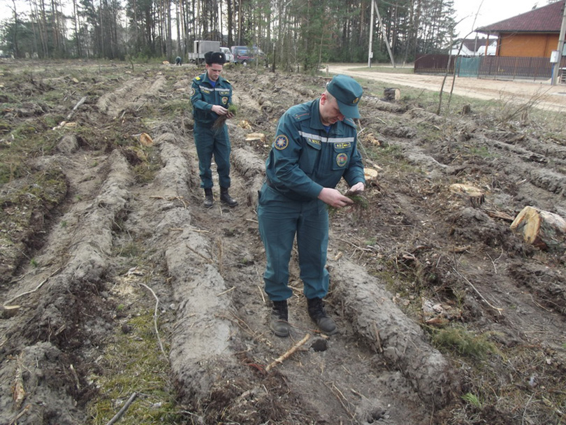 акция неделя леса Солигорск