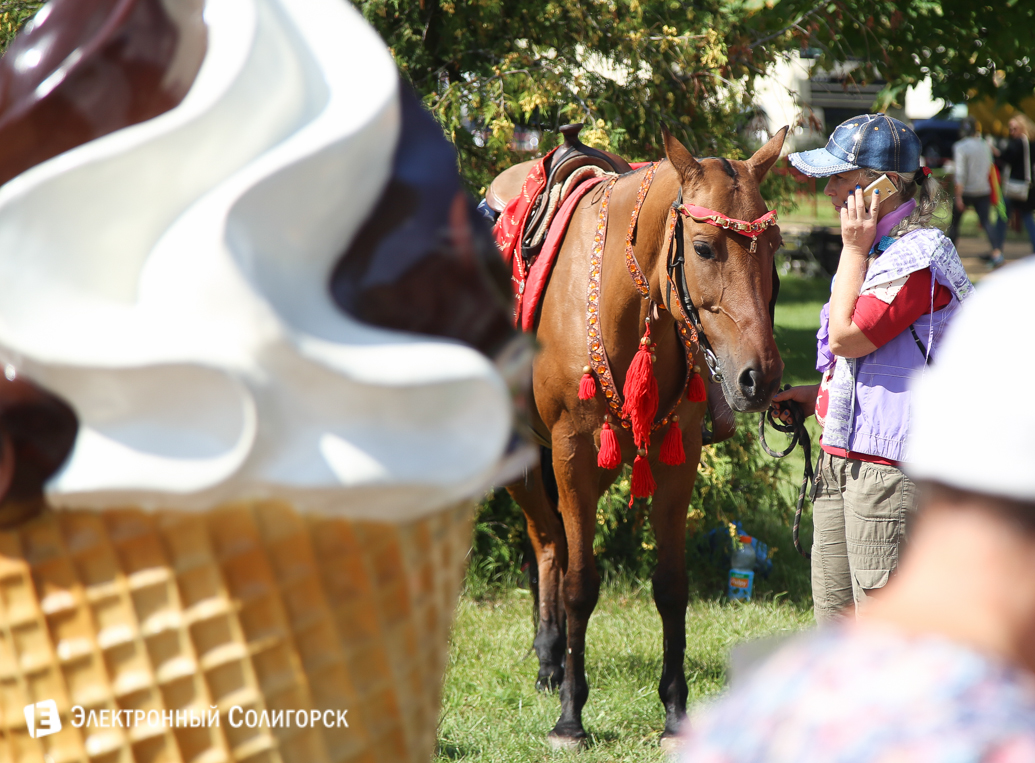 день города Солигорск