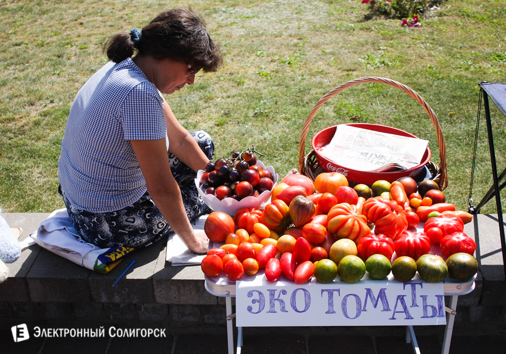 день города Солигорск